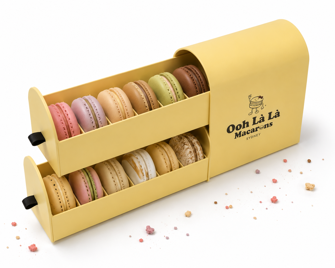 12 piece gourmet macaron box